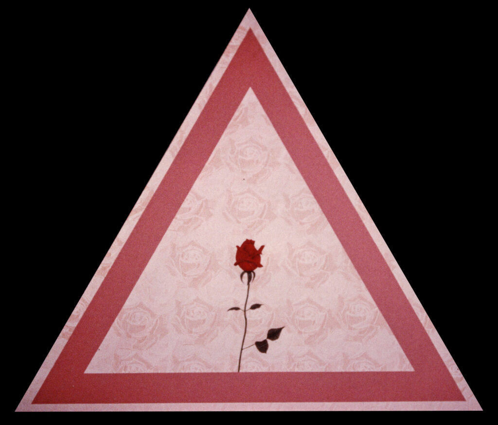 une rose dans une forme triangulaire