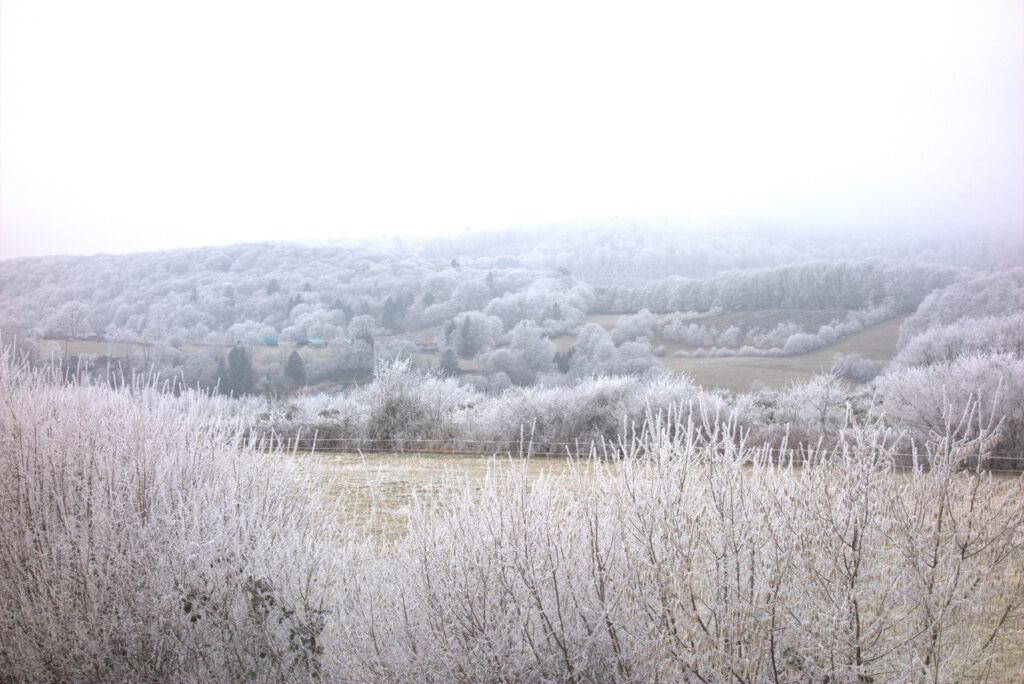 photo paysage d'hiver