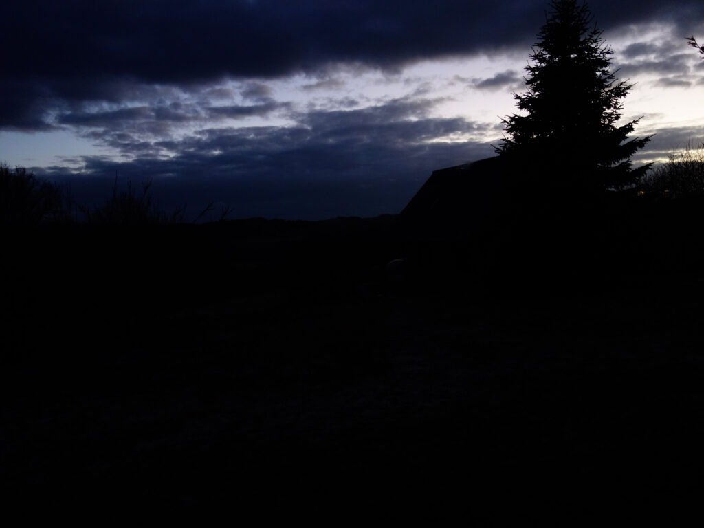 paysage nocturne sapin silhouette d'un chalet